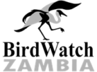 BirdWatch Zambia